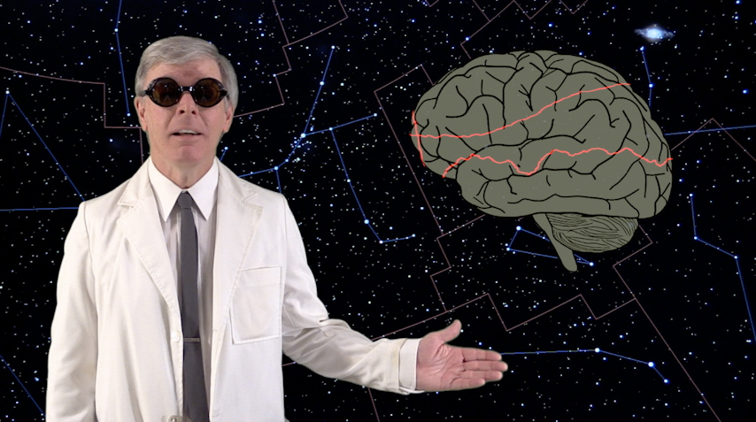 Image 1 from Video of
                      "Spock's Brain"